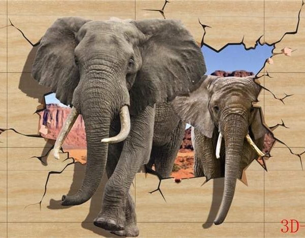 Live Elephant Wall mural