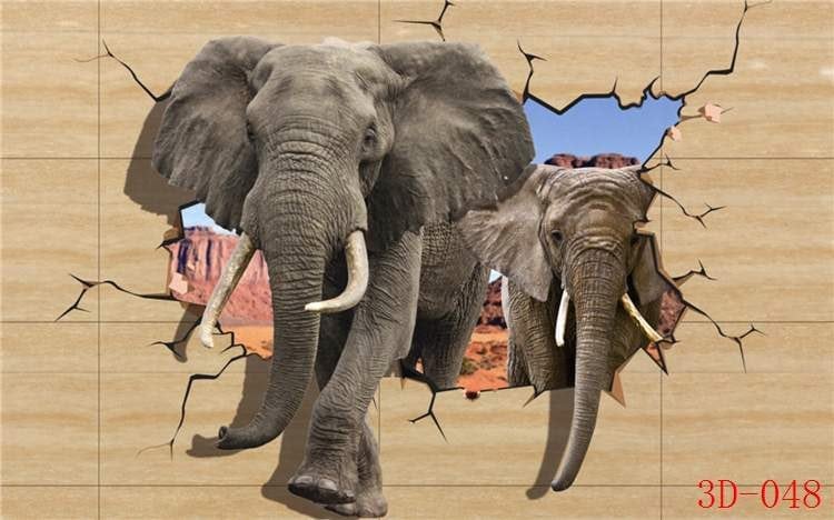 Live Elephant Wall mural Live Elephant Wall mural