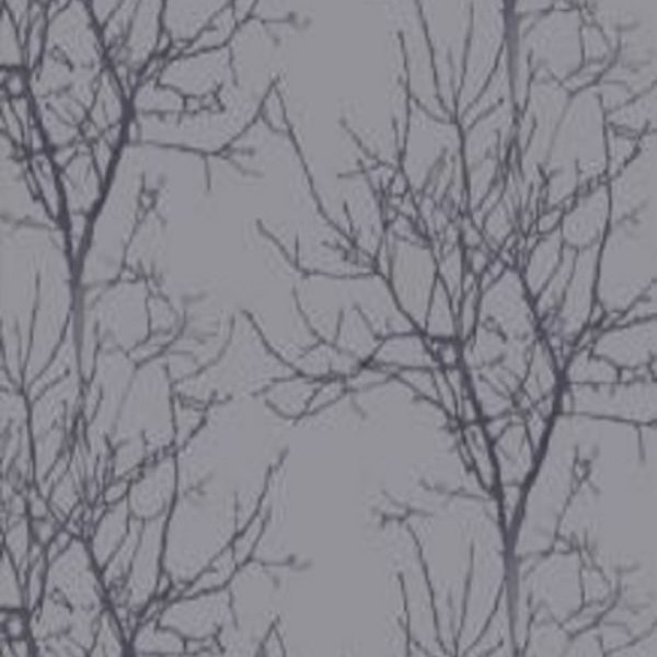 Aurora Exclusive Wallpapers -16708