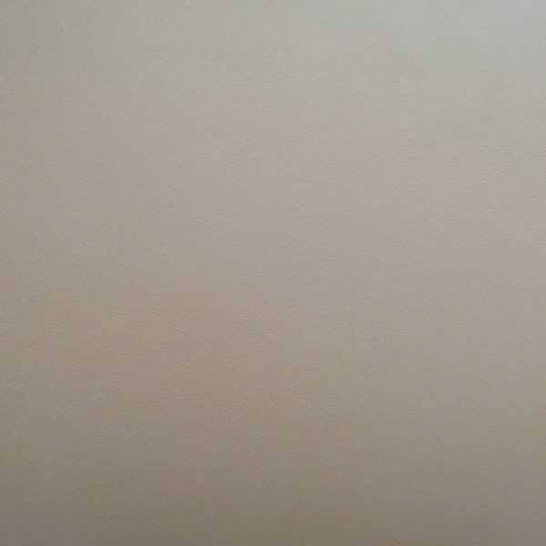 Carat 2010 Pearl White Plain – 159301