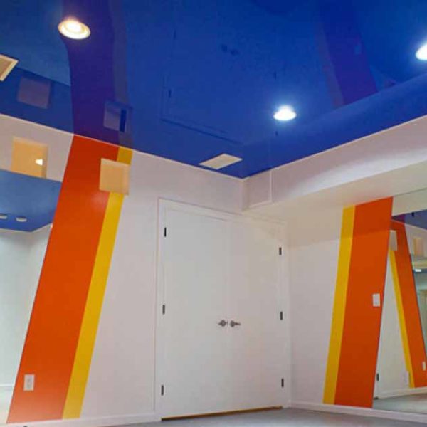 Gym ceilings 2