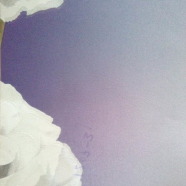Purple Design Exclusive Wallpaper – 1207-3