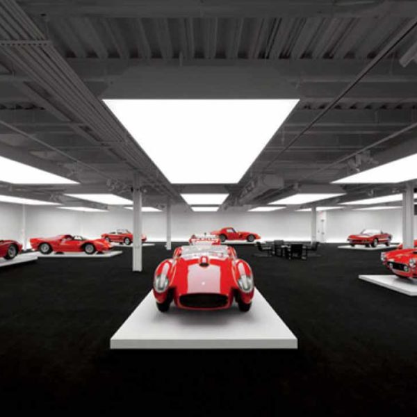 Showroom Stretch Ceiling 11