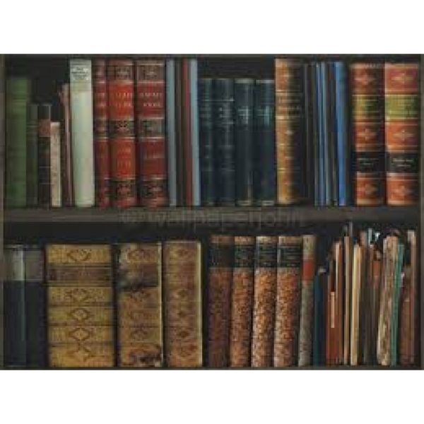 Designer 3d Effect Bookcase Library Books Shelves Wallpaper