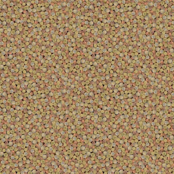 Coins Vinyl Flooring-PSH