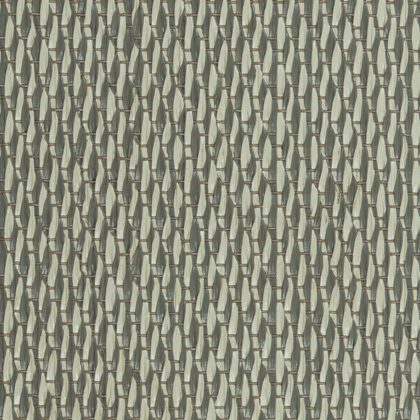 Seed