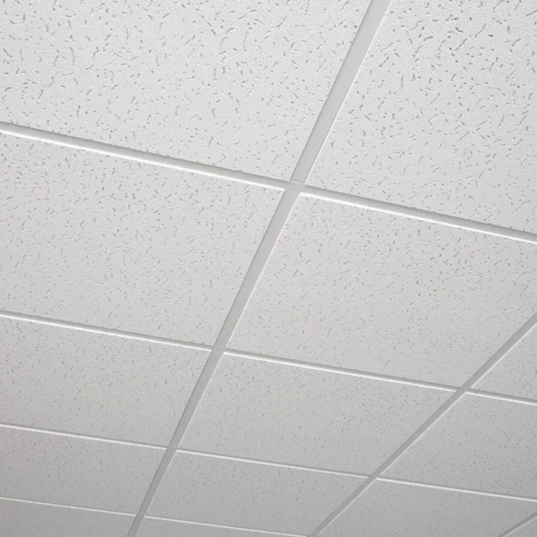 USG Fissured™ Basic Acoustical Panels